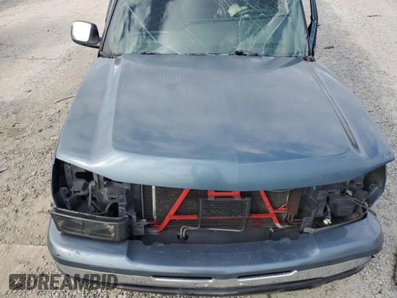 2006 Chevrolet Silverado 1500 LS with VIN 1GCEC14T46E243734, listed as a Copart auction lot 70034064 with 0 mi miles and Salvage Title. Bid and sale history available at carsss.com. Image 11.