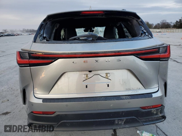 2022 Lexus NX with VIN JTJGGCEZ8N2000887, listed as a Copart auction lot 45509225 with 43,897 mi miles and Salvage Title. Bid and sale history available at carsss.com. Image 6.