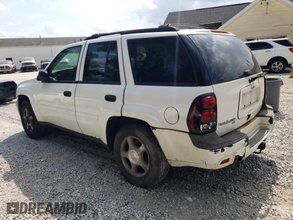 2006 Chevrolet TrailBlazer LS with VIN 1GNDT13S362357608, listed as a Copart auction lot 68828434 with 173,608 mi miles and Salvage Title. Bid and sale history available at DreamBid. Image 2.