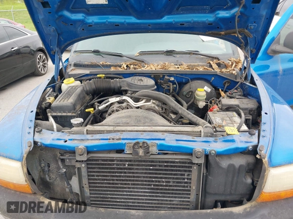 1998 Dodge Dakota SLT with VIN 1B7GL22X8WS564438, listed as a IAAI auction lot 42344252 with 137,973 mi miles and . Bid and sale history available at DreamBid. Image 10.