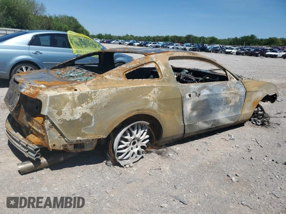 2013 Ford Mustang GT with VIN 1ZVBP8CF9D5260311, listed as a Copart auction lot 50733705 with Not Provided miles and Non Repairable. Bid and sale history available at DreamBid. Image 3.