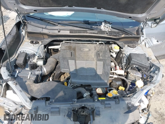 2019 Subaru Forester with VIN JF2SKACC6KH442317, listed as a IAAI auction lot 42394991 with 144,246 mi miles and . Bid and sale history available at DreamBid. Image 10.
