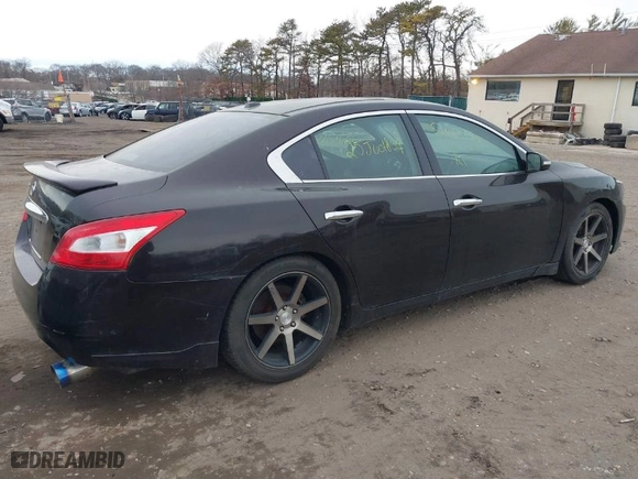 2010 Nissan Maxima 3.5 SV with VIN 1N4AA5AP4AC846079, listed as a IAAI auction lot 41636970 with NaN miles. Bid and sale history available at carsss.com. Image 4.