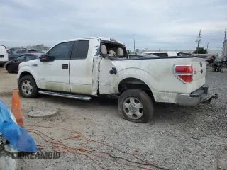 2011 Ford F-150 XL with VIN 1FTFX1CT0BFB21340, listed as a Copart auction lot 83943824 with 0 mi miles and Clean Title. Bid and sale history available at carsss.com. Image 2.