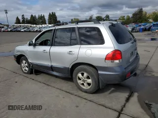2006 Hyundai Santa Fe GLS with VIN KM8SC13E36U049025, listed as a Copart auction lot 70656494 with 224,422 mi miles and Salvage Title. Bid and sale history available at carsss.com. Image 2.