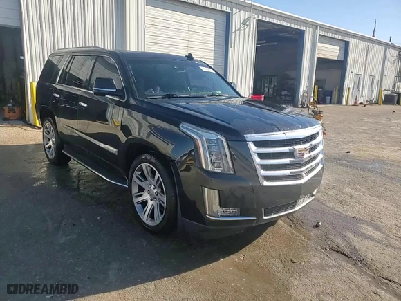 2016 Cadillac Escalade Luxury Collection with VIN 1GYS3BKJ1GR133271, listed as a Copart auction lot 49249835 with 84,173 mi miles and Salvage Title. Bid and sale history available at carsss.com. Image 15.