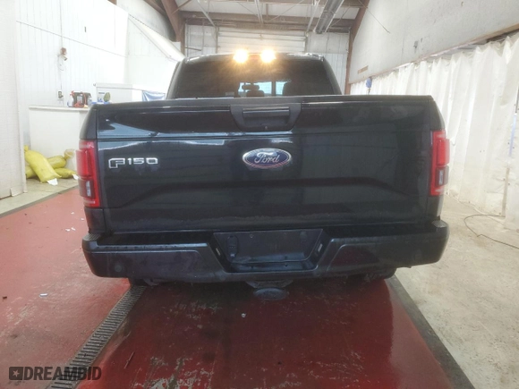 2015 Ford F-150 XLT with VIN 1FTEX1EP1FFD11763, listed as a Copart auction lot 50168165 with 133,670 mi miles and Salvage Title. Bid and sale history available at carsss.com. Image 6.