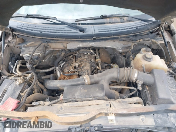 2011 Ford F-150 XLT with VIN 1FTFW1CT0BKD64964, listed as a IAAI auction lot 41966812 with 140,384 mi miles and . Bid and sale history available at DreamBid. Image 10.