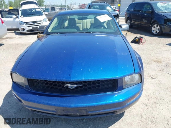 2007 Ford Mustang Deluxe with VIN 1ZVFT80N175341171, listed as a IAAI auction lot 42637888 with 122,279 mi miles and . Bid and sale history available at DreamBid. Image 12.