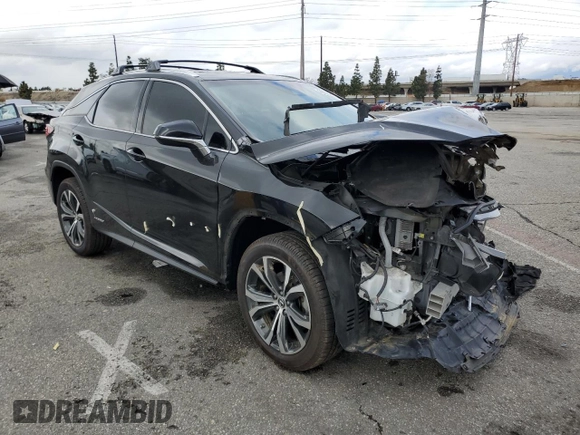 2019 Lexus RX with VIN 2T2BGMCA4KC034950, listed as a Copart auction lot 46860385 with 0 mi miles and Salvage Title. Bid and sale history available at carsss.com. Image 4.