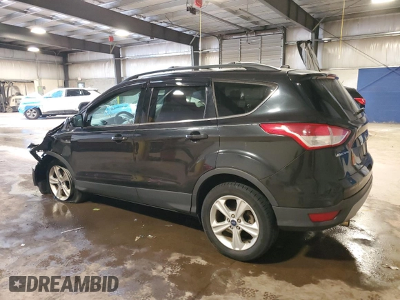 2013 Ford Escape SE with VIN 1FMCU9GX5DUA90541, listed as a Copart auction lot 58897585 with 124,593 mi miles and Salvage title. Bid and sale history available at DreamBid. Image 2.