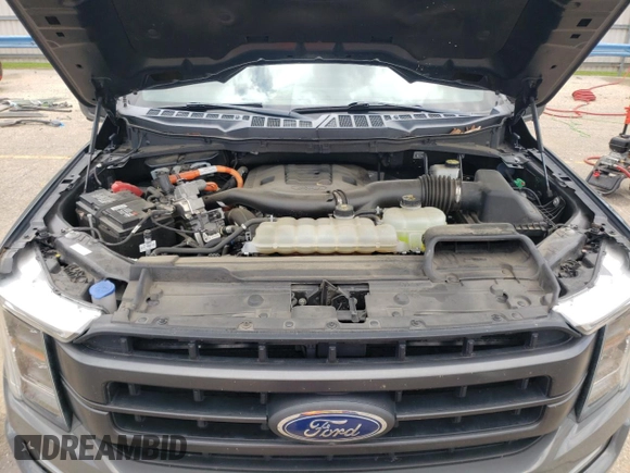 2021 Ford F-150 XL with VIN 1FTFW1ED0MFC98028, listed as a Copart auction lot 56652825 with 100,062 mi miles and Salvage title. Bid and sale history available at DreamBid. Image 11.