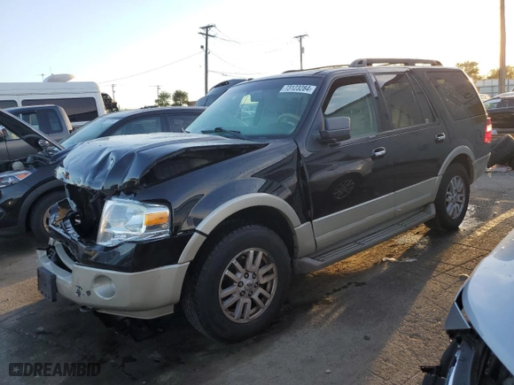 2009 Ford Expedition Eddie Bauer with VIN 1FMFU18529EB03713, listed as a Copart auction lot 73123284 with 206,768 mi miles and Salvage Title. Bid and sale history available at carsss.com. Image 1.