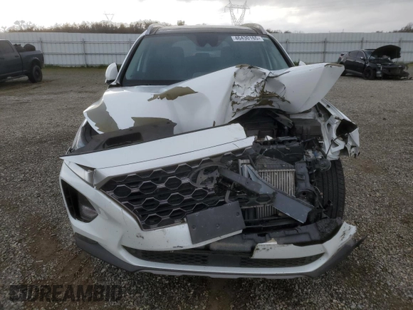 2019 Hyundai Santa Fe Ultimate with VIN 5NMS5CAA1KH073559, listed as a Copart auction lot 46430165 with 0 mi miles and Salvage Title. Bid and sale history available at carsss.com. Image 5.