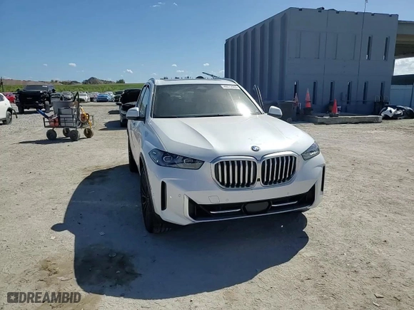 2024 BMW X5 sDrive40i with VIN 5UX13EU00R9S43348, listed as a Copart auction lot 49572065 with 0 mi miles and Salvage Title. Bid and sale history available at carsss.com. Image 12.