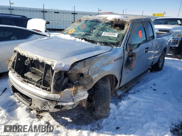 2011 Ford F-150 XL with VIN 1FTFX1ET2BFD29572, listed as a Copart auction lot 87320264 with 232,370 mi miles and Salvage Title. Bid and sale history available at carsss.com. Image 1.