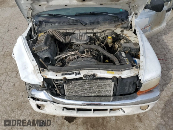 1997 Dodge Dakota z VIN 1B7GG23Y8VS161313, wystawiony jako Copart lot #77646454 z przebiegiem 286 443 mil mil oraz Szkoda całkowita • Salvage title. Historia ofert i sprzedaży dostępna na DreamBid. Obrazek 11.