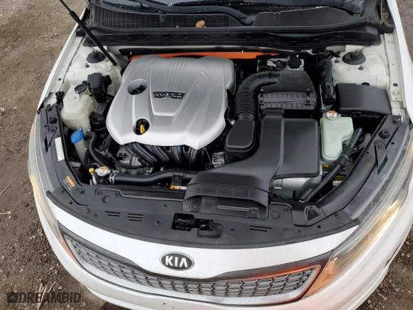 2016 Kia Optima Hybrid with VIN KNAGM4AD0G5092426, listed as a Copart auction lot 41562535 with NaN miles and Salvage Title. Bid and sale history available at carsss.com. Image 12.