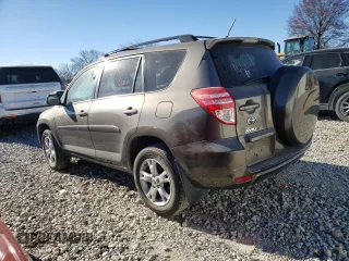 2011 Toyota RAV4 with VIN 2T3BF4DV4BW149661, listed as a Copart auction lot 81788694 with 0 mi miles and Salvage Title. Bid and sale history available at carsss.com. Image 2.