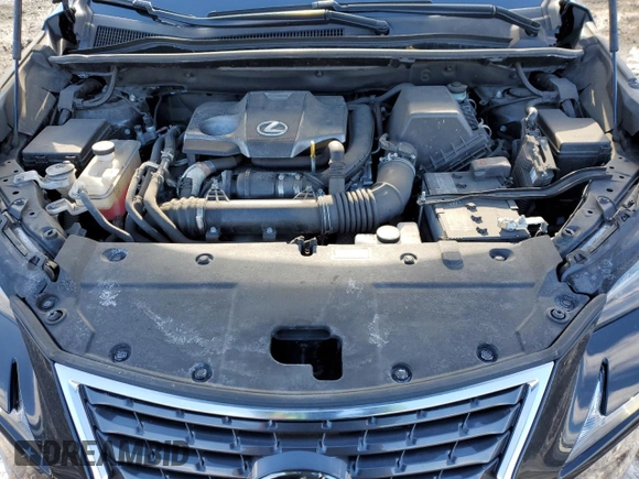 2021 Lexus NX with VIN JTJDARDZ4M2253115, listed as a Copart auction lot 45311665 with 53,574 mi miles and Salvage Title. Bid and sale history available at carsss.com. Image 14.