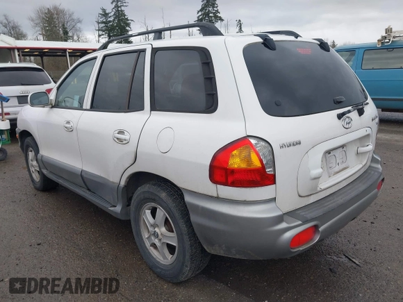 2004 Hyundai Santa Fe GLS with VIN KM8SC13D04U584320, listed as a IAAI auction lot 41847029 with 285,462 mi miles. Bid and sale history available at carsss.com. Image 3.