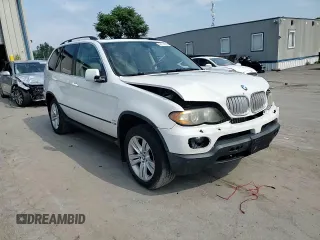 2005 BMW X5 4.4i with VIN 5UXFB53585LV19567, listed as a Copart auction lot 65774034 with 265,529 mi miles and Salvage Title. Bid and sale history available at carsss.com. Image 12.