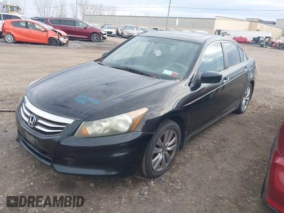 2011 Honda Accord EX with VIN 1HGCP2F7XBA067955, listed as a IAAI auction lot 42070691 with 256,510 mi miles and . Bid and sale history available at DreamBid. Image 2.