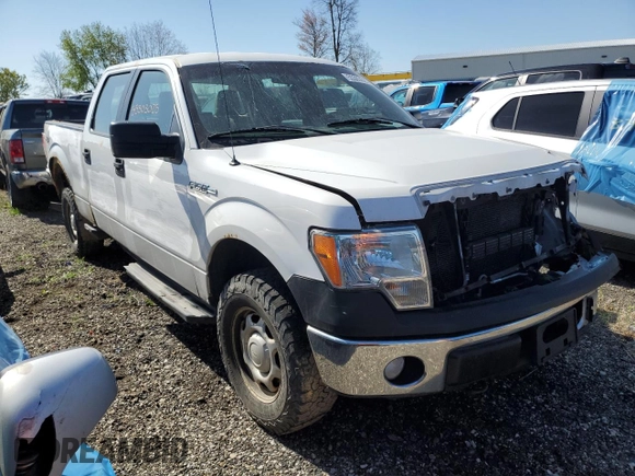 2013 Ford F-150 XL with VIN 1FTFW1EF8DKF67899, listed as a Copart auction lot 55303025 with 310,505 mi miles and Salvage title. Bid and sale history available at DreamBid. Image 4.