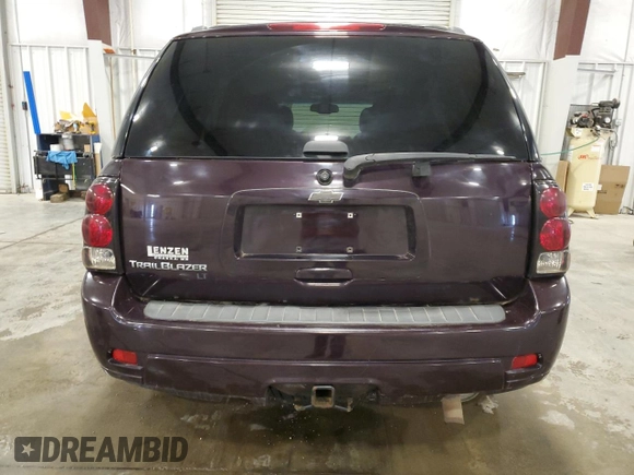 2008 Chevrolet TrailBlazer 3LT with VIN 1GNDT13S982166326, listed as a Copart auction lot 50881325 with 159,781 mi miles and Salvage Title. Bid and sale history available at DreamBid. Image 6.
