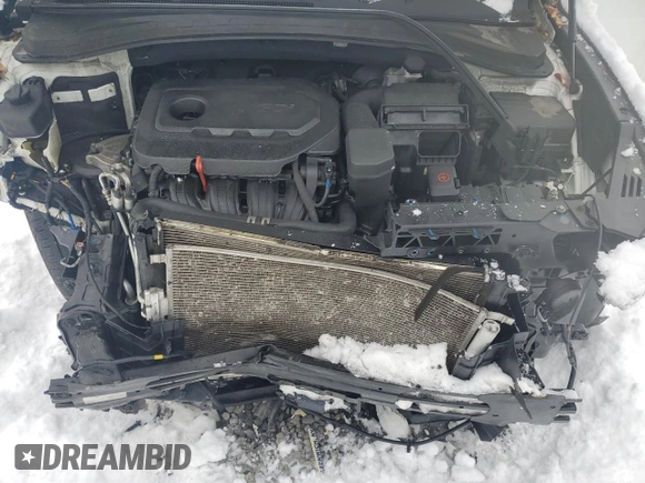 2019 Hyundai Santa Fe SE with VIN 5NMS2CAD9KH102793, listed as a Copart auction lot 43292245 with 160,903 mi miles and Salvage Title. Bid and sale history available at DreamBid. Image 12.