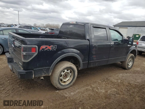 2013 Ford F-150 XL with VIN 1FTFW1EF3DFB48237, listed as a Copart auction lot 50518275 with 208,056 mi miles and Clean Title. Bid and sale history available at carsss.com. Image 3.
