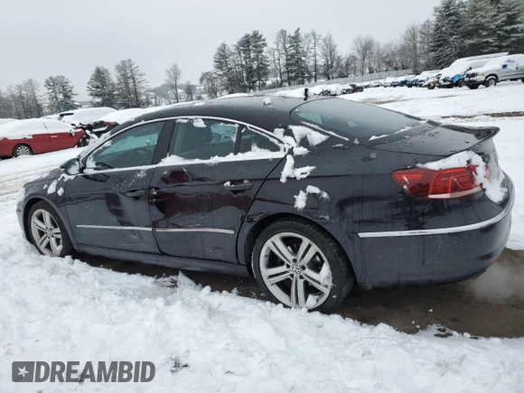 2014 Volkswagen CC Sport with VIN WVWAP7AN8EE508973, listed as a Copart auction lot 44521765 with 115,306 mi miles and Salvage Title. Bid and sale history available at carsss.com. Image 2.
