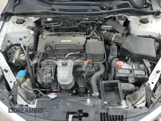2017 Honda Accord Sedan LX with VIN 1HGCR2F30HA241564, listed as a Copart auction lot 49126925 with 95,781 mi miles and Salvage Title. Bid and sale history available at carsss.com. Image 12.