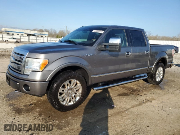 2009 Ford F-150 XL z VIN 1FTPW14V99FA68249, wystawiony jako Copart lot #51097995 z przebiegiem 239 880 mil mil oraz Nie do naprawy • Non repairable. Historia ofert i sprzedaży dostępna na DreamBid. Obrazek 1.