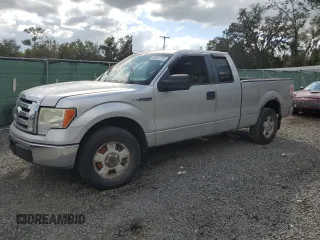 2010 Ford F-150 XL with VIN 1FTEX1C81AFB71833, listed as a Copart auction lot 80022734 with Not provided miles and Salvage title. Bid and sale history available at DreamBid. Image 1.