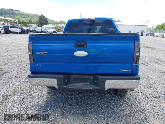 2012 Ford F-150 XL with VIN 1FTFX1EF0CFB37160, listed as a IAAI auction lot 42210422 with 185,628 mi miles and . Bid and sale history available at DreamBid. Image 16.