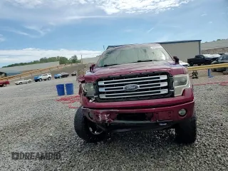 2013 Ford F-150 XL with VIN 1FTFW1EF8DKE14522, listed as a Copart auction lot 55725975 with 317,578 mi miles and Salvage title. Bid and sale history available at DreamBid. Image 13.