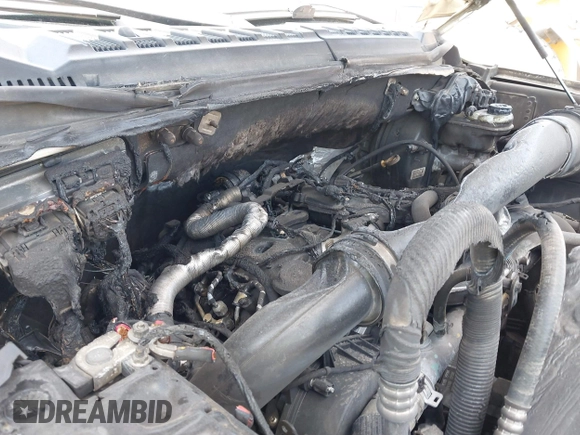 2018 Ford F-150 XL with VIN 1FTFW1E12JFD70767, listed as a IAAI auction lot 42569847 with 206,918 mi miles and . Bid and sale history available at DreamBid. Image 6.