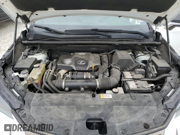 2019 Lexus NX 300 with VIN JTJBARBZ4K2186166, listed as a Copart auction lot 50762005 with 60,023 mi miles and Clean title. Bid and sale history available at DreamBid. Image 12.