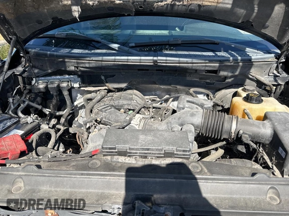 2013 Ford F-150 XL with VIN 1FTMF1CM7DFE09796, listed as a Copart auction lot 83859124 with 67,872 mi miles and Clean title. Bid and sale history available at DreamBid. Image 7.