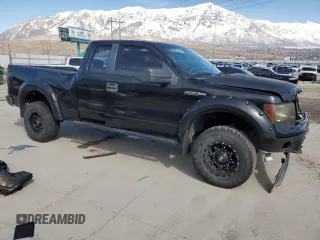 2009 Ford F-150 STX with VIN 1FTRX14W09FA24655, listed as a Copart auction lot 46085665 with Not Provided miles and Salvage Title. Bid and sale history available at DreamBid. Image 4.