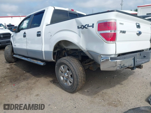 2011 Ford F-150 XLT with VIN 1FTFW1ET7BFC45136, listed as a IAAI auction lot 42177848 with Not provided miles and . Bid and sale history available at DreamBid. Image 3.