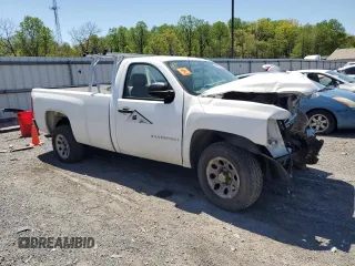 2009 Chevrolet Silverado 1500 Work Truck with VIN 1GCEC14X19Z122448, listed as a Copart auction lot 54385045 with Not Provided miles and Clean Title. Bid and sale history available at DreamBid. Image 4.