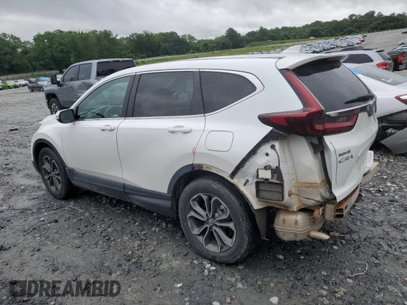 2020 Honda CR-V EX with VIN 7FARW1H59LE004988, listed as a Copart auction lot 59726565 with 38,136 mi miles and Salvage title. Bid and sale history available at DreamBid. Image 2.