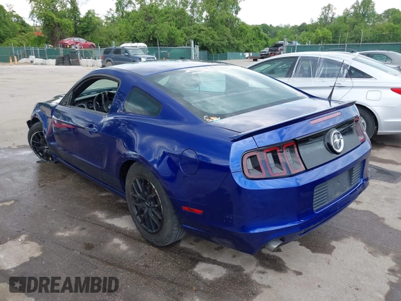 2013 Ford Mustang V6 with VIN 1ZVBP8AM7D5228491, listed as a IAAI auction lot 42209129 with 146,461 mi miles and . Bid and sale history available at DreamBid. Image 3.