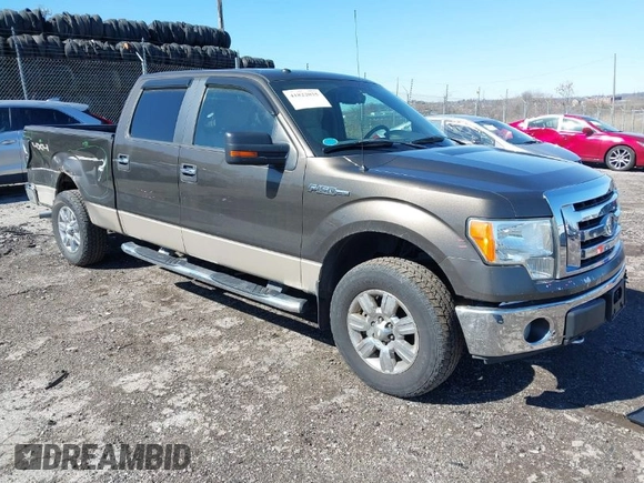 2009 Ford F-150 XL с VIN 1FTPW14V49FA98033, выставлен на аукционе IAAI как лот 41822035 с пробегом 209 727 миль миль и . История ставок и продаж доступна на DreamBid. Изображение 1.