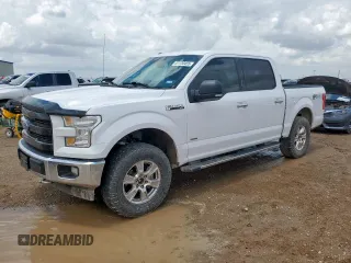 2017 Ford F-150 XL z VIN 1FTEW1EG5HKD69999, wystawiony jako Copart lot #61734455 z przebiegiem 189 399 mil mil oraz Czysty tytuł • Clean title. Historia ofert i sprzedaży dostępna na DreamBid. Obrazek 1.