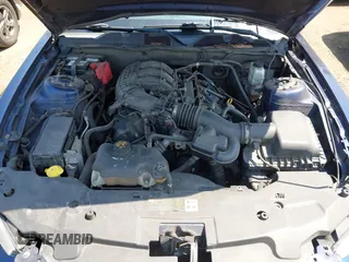 2012 Ford Mustang Premium с VIN 1ZVBP8AM1C5206257, выставлен на аукционе IAAI как лот 42568358 с пробегом 158 670 миль миль и . История ставок и продаж доступна на DreamBid. Изображение 10.
