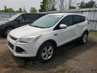 2014 Ford Escape SE z VIN 1FMCU0G90EUD39018, wystawiony jako Copart lot #55387435 z przebiegiem 161 240 mil mil oraz Czysty tytuł • Clean title. Historia ofert i sprzedaży dostępna na DreamBid. Obrazek 1.