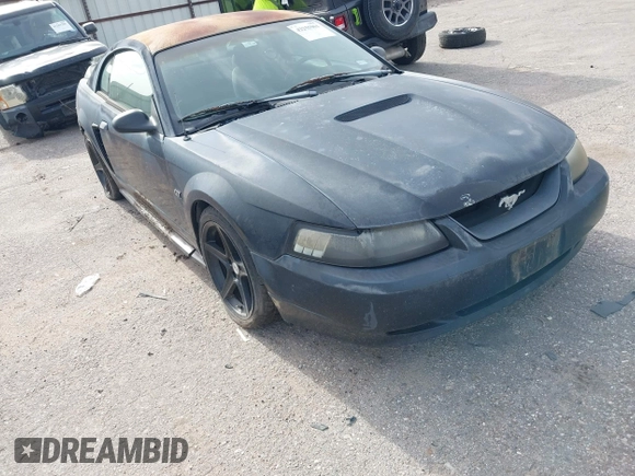 2000 Ford Mustang GT with VIN 1FAFP42X1YF196276, listed as a IAAI auction lot 42255961 with Not Provided miles and . Bid and sale history available at DreamBid. Image 1.